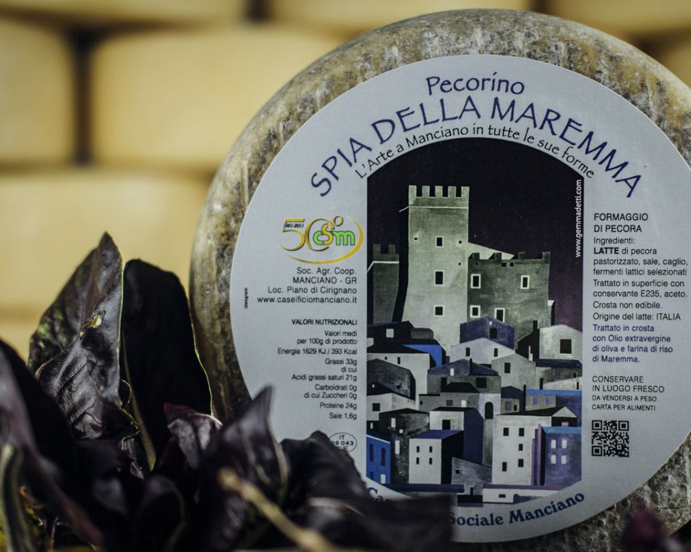 spia-della-maremma-2 spia-della-maremma-2